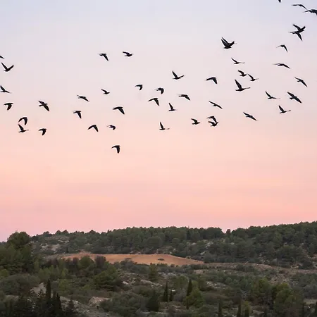 דירה Les Figuiers De Tamaroque