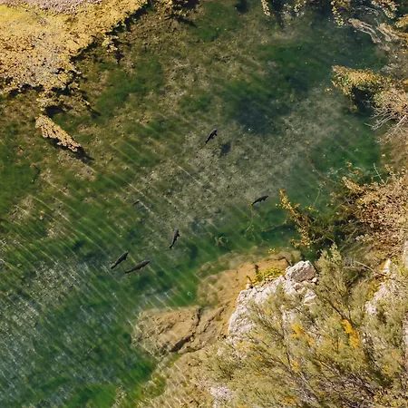 Les Figuiers De Tamaroque